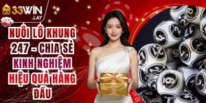 Nuôi lô khung 247 - Chia sẻ kinh nghiệm hiệu quả hàng đầu